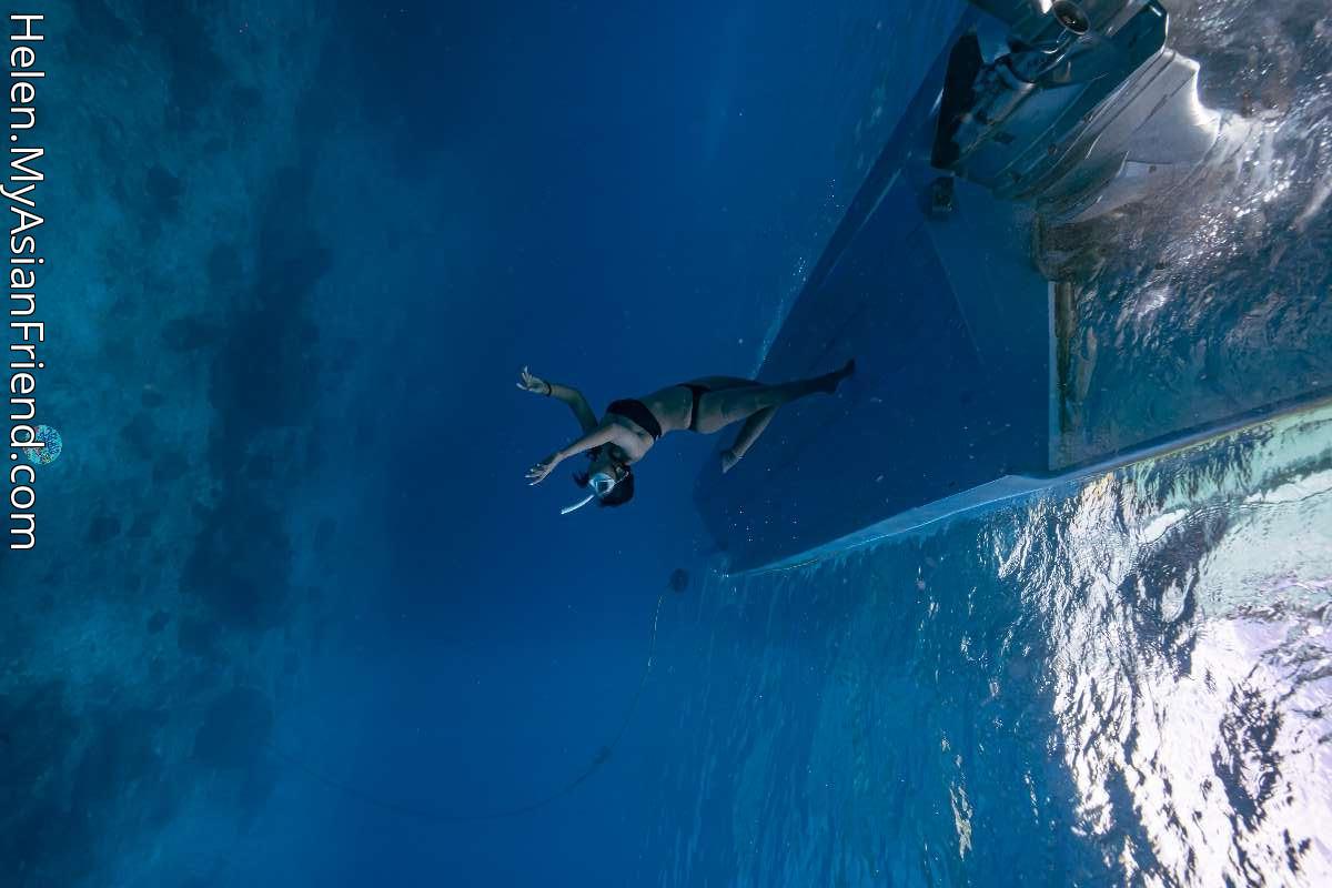 Helen's personal blog photo 1 added Friday the 21st of November 2025